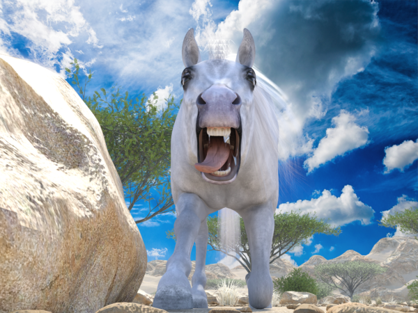 HW Horse - Arabian