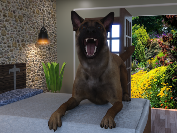 Canine - Malinois bundle