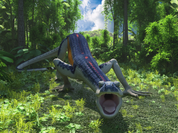 Biguana bundle
