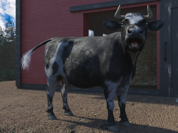 Cow bundle