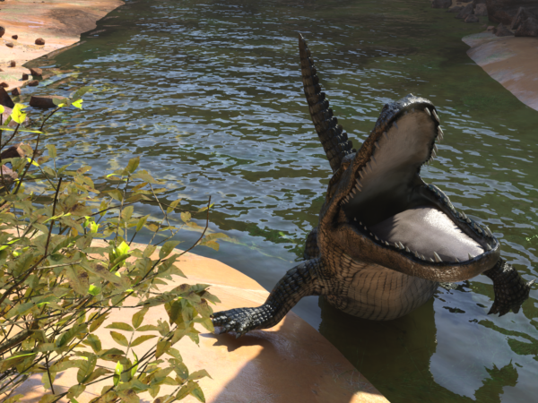 Aquatic - Crocodile bundle