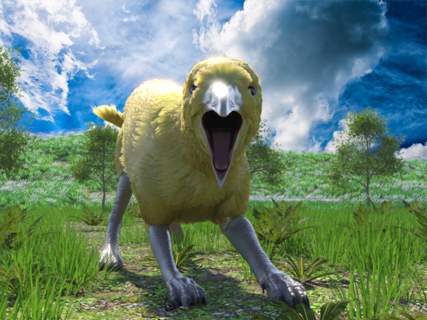 Avian - Crowulf bundle