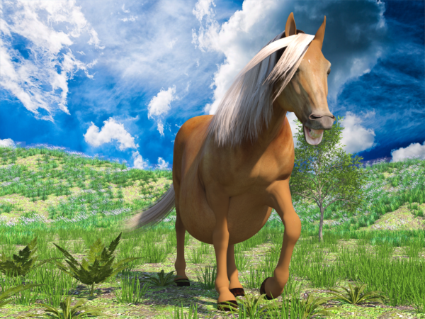 542 Dariah, Nyu and the horse