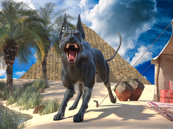 Canine - Anubis hound bundle