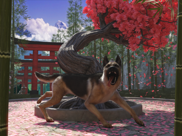 Canine - German shepherd bundle