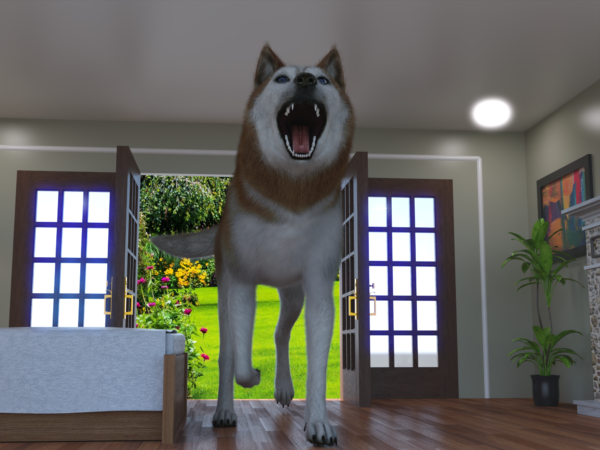 Canine - Husky bundle