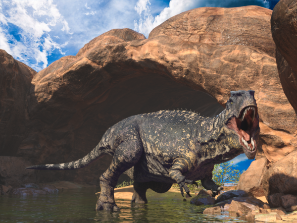 Dinosaur - Giganotosaurus bundle