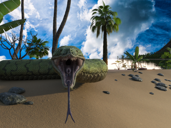 Snake - Hydra snake bundle