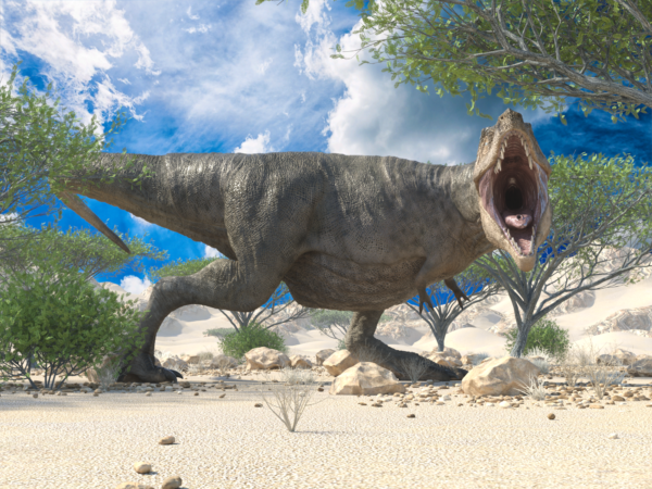 Dinosaur - T-Rex 2 bundle