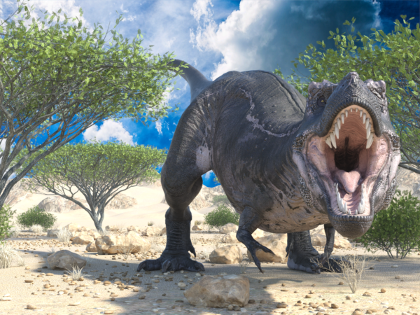 Dinosaur - T-Rex 3 bundle