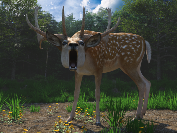 HW Cervine-Deers bundle