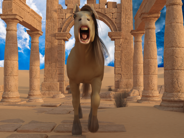 HW Horse - Cowgirl