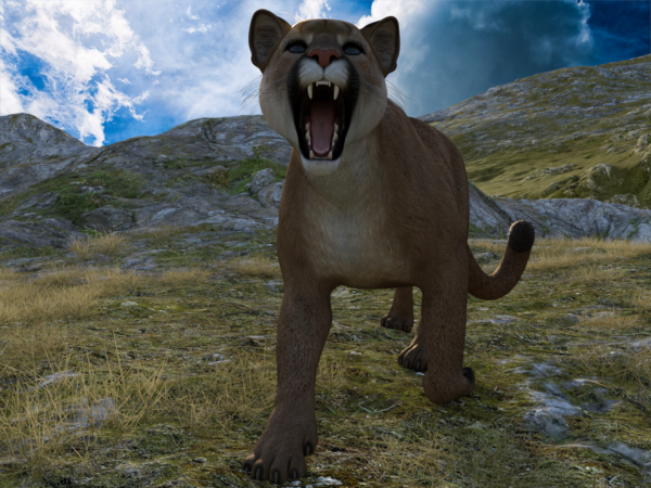 HW Feline - Cougar bundle