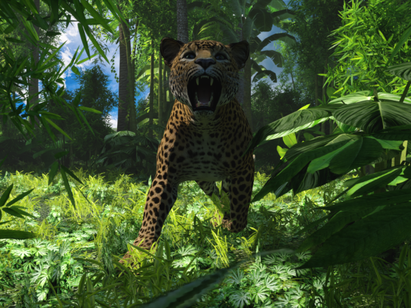 HW Feline - Leopard-Panther bundle