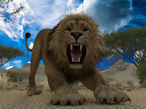 HW Feline - Lion bundle