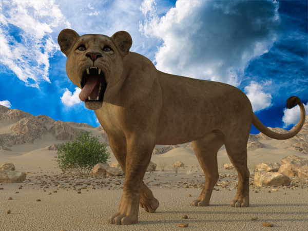 HW Feline - Lioness bundle