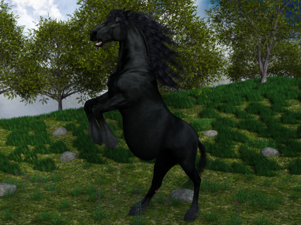 HW Horse - Friesian