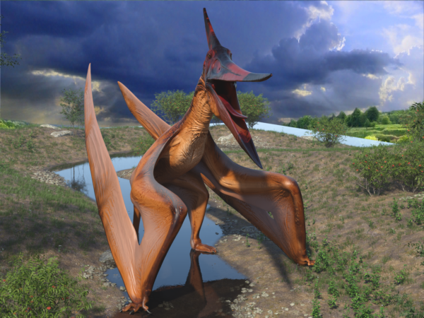 Avian - Pteranodon bundle