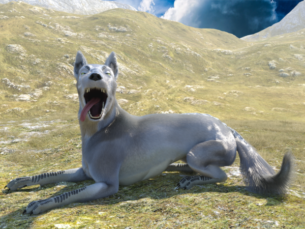 Canine - Loth wolf