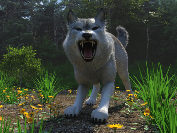 Canine - Warg bundle