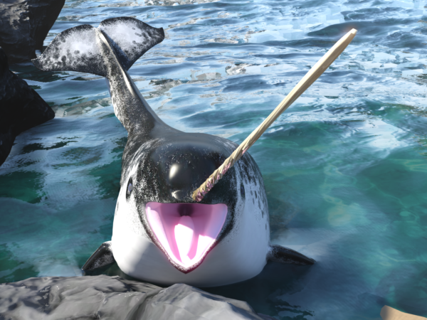 Aquatic - Whales bundle